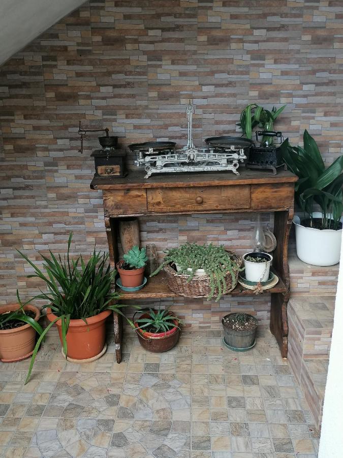 Apartments Vellico Bale Zewnętrze zdjęcie